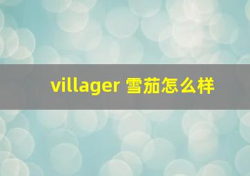 villager 雪茄怎么样